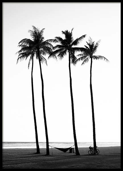 Palm Trees On Beach Poster en el grupo  Pósters / Blanco y negro con Desenio AB (10233)