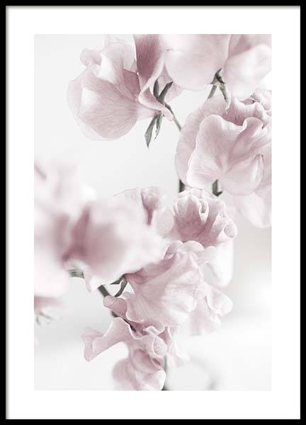 Summer Dream No1 Poster en el grupo  Pósters / Fotografías con Desenio AB (10405)