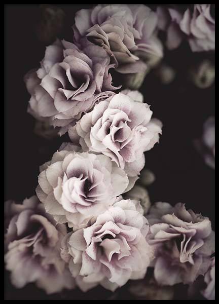 Bouquet De Fleurs Poster en el grupo  Pósters / Fotografías con Desenio AB (10433)