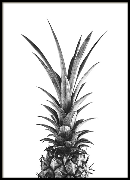 Pineapple B&W Poster en el grupo  Pósters / Blanco y negro con Desenio AB (10658)
