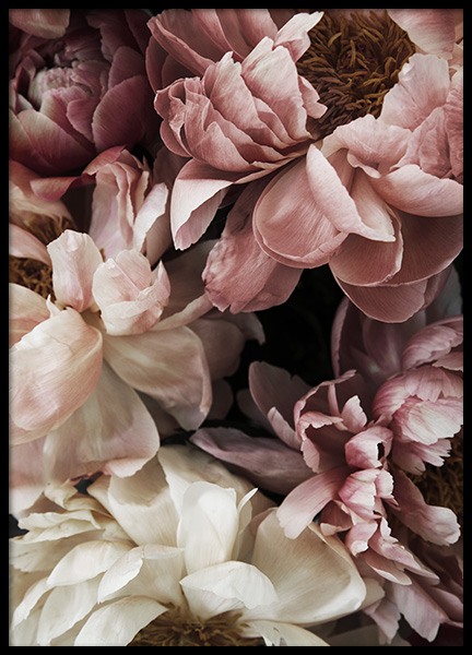 Flower Wall Poster en el grupo  Pósters / Fotografías con Desenio AB (10990)