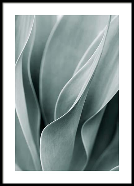 Agave Leaves No3 Poster en el grupo  Pósters / Fotografías con Desenio AB (11661)