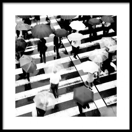 Umbrellas on Crosswalk Poster en el grupo  Pósters / Blanco y negro con Desenio AB (11678)