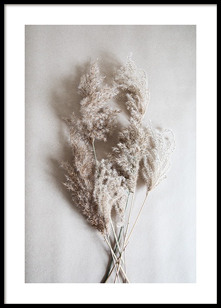 Bouquet of Autumn Reeds Poster en el grupo  Pósters / Fotografías con Desenio AB (11798)