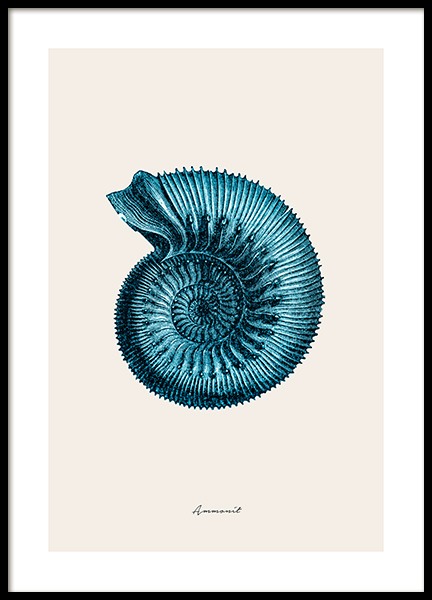 Blue Ammonit Poster en el grupo  Pósters / Naturaleza con Desenio AB (12429)