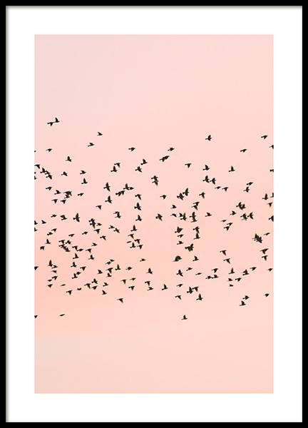 Pink Sunset Birds Poster en el grupo  Pósters / Naturaleza con Desenio AB (12601)
