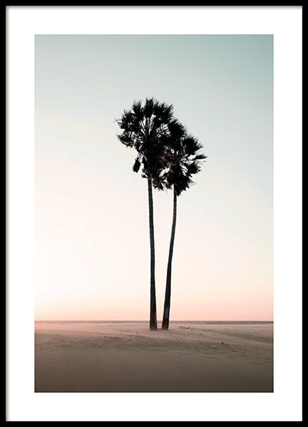 Coconut Palm Trees Poster en el grupo  Pósters / Naturaleza / Tropical con Desenio AB (12647)