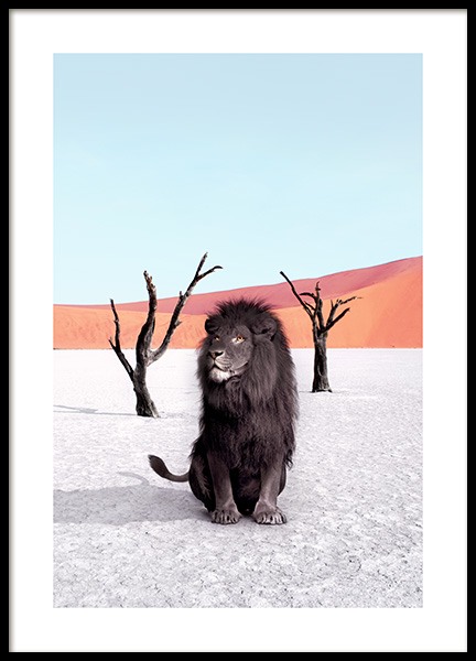 Namibia Poster en el grupo  Pósters / Fotografías con Desenio AB (12740)