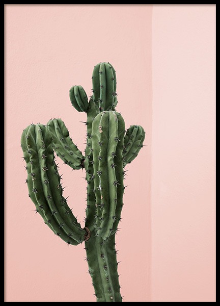 Cactus Corner Poster en el grupo  Pósters / Fotografías con Desenio AB (12746)