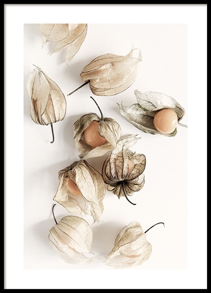 Golden Berries Poster en el grupo  Pósters / Cuadros de cocina con Desenio AB (12993)