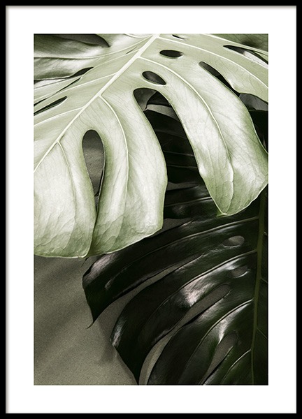 Monstera together Poster en el grupo  con Desenio AB (13571)