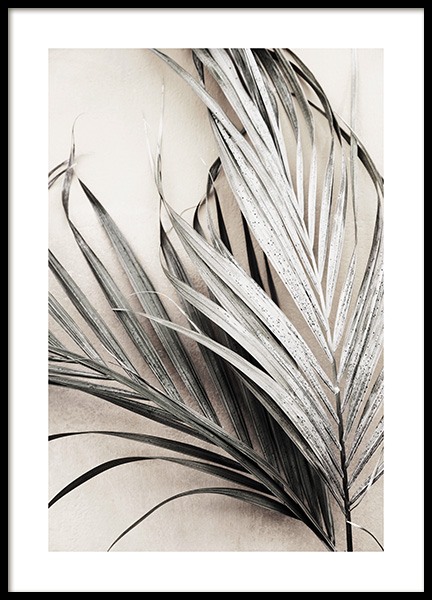 Dry Palm Leaves No3 Poster en el grupo  con Desenio AB (13672)