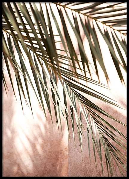 Pink Shadow Poster en el grupo  Pósters / Fotografías con Desenio AB (14219)
