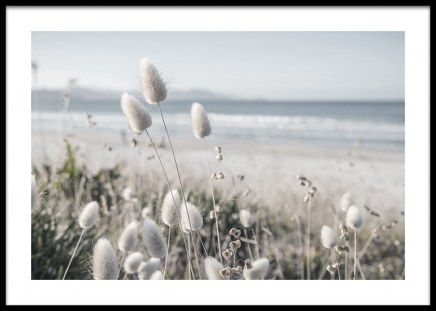 Beach Dune Grass Poster en el grupo  Pósters / Naturaleza / Playa con Desenio AB (14833)