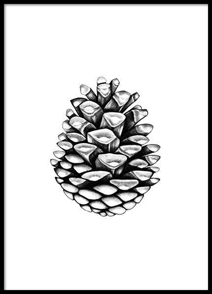 Pinecone Poster en el grupo  Pósters / Blanco y negro con Desenio AB (2274)