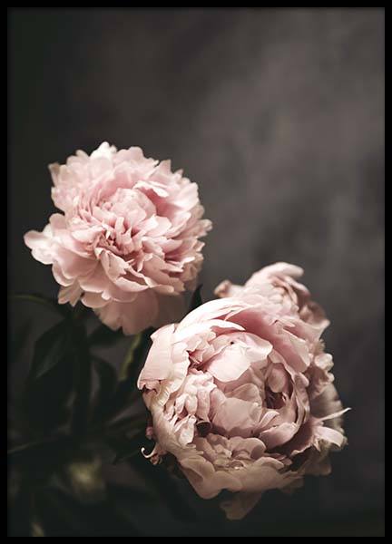 There's Beauty Poster en el grupo  Pósters / Fotografías con Desenio AB (2788)