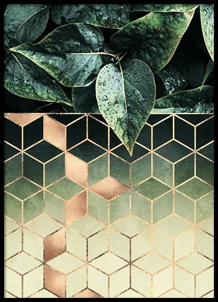 Leaves And Cubes Poster en el grupo  Pósters / Arte con Desenio AB (2813)