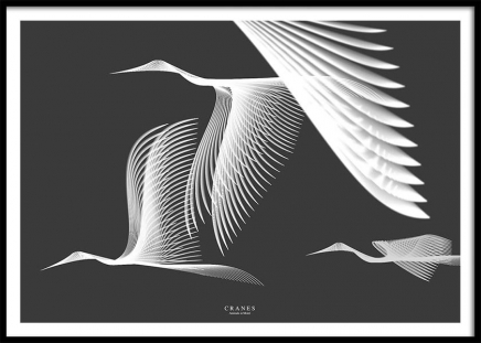 Cranes In Moiré Poster en el grupo  Pósters / Animales con Desenio AB (3223)