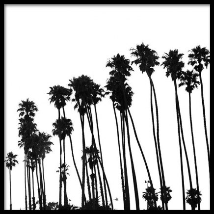 Venice Beach Palm Trees No1 Poster en el grupo  Pósters / Blanco y negro con Desenio AB (3776)