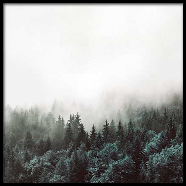 Tree Tops, Posters en el grupo  Pósters / Naturaleza con Desenio AB (8587)