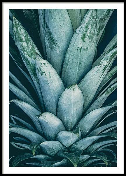 Pineapple Crown Poster en el grupo  Pósters / Cuadros de cocina con Desenio AB (8811)