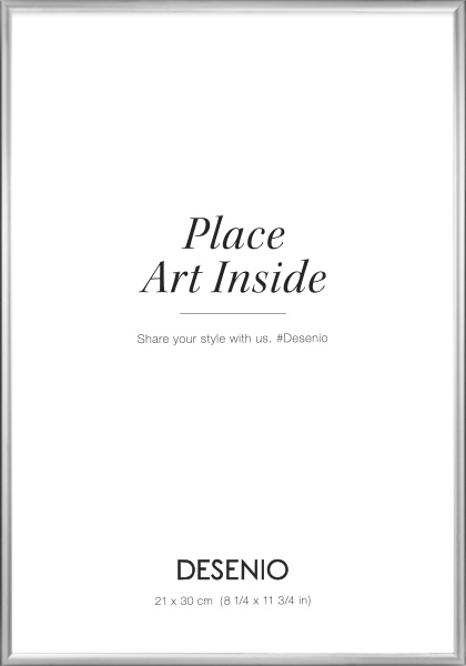 Marco de cuadro plateado, 21x30