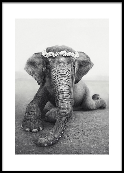 Love Warriors Sweetest Adele Poster en el grupo  Pósters con Desenio AB (Pre5619)