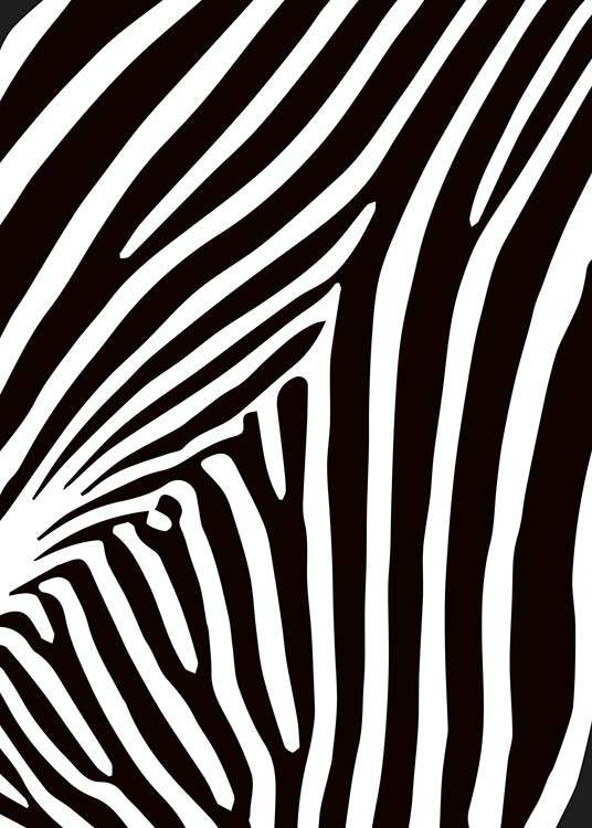 Zebra Stripes Poster / Blanco y negro con Desenio AB (10154)
