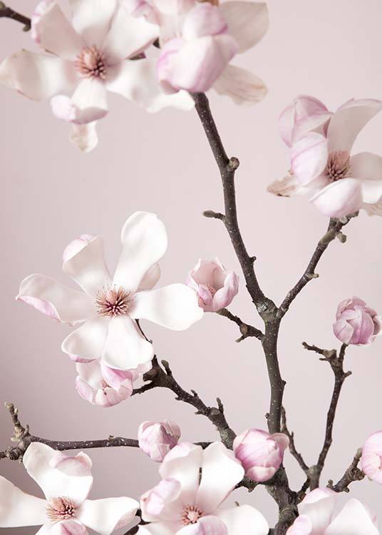 Pink Spring Flower Poster / Fotografías con Desenio AB (10213)