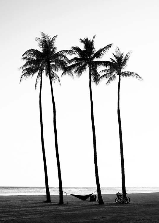  – Fotografía en blanco y negro de una playa con palmeras y el mar de fondo