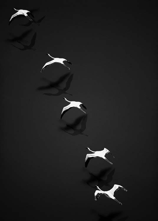 Flying Flamingos Poster / Blanco y negro con Desenio AB (10402)