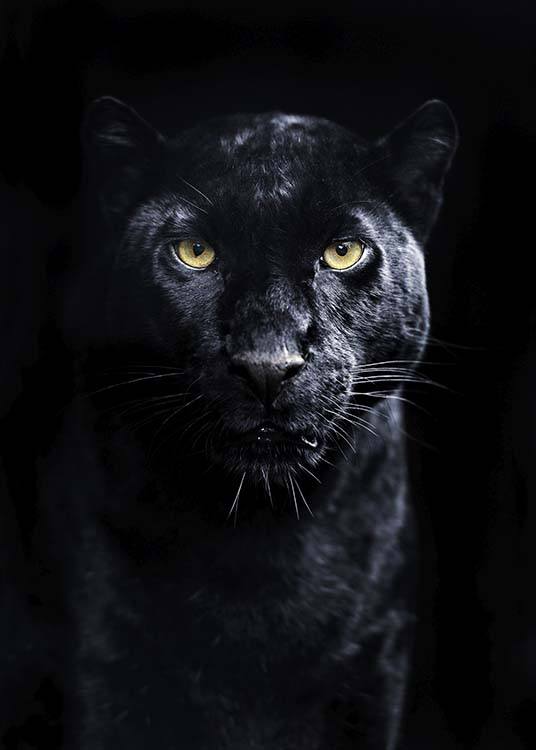 Panther Poster / Fotografías con Desenio AB (10403)