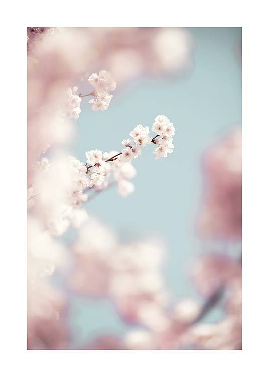 Cherry Blossom No1 Poster / Fotografías con Desenio AB (10426)