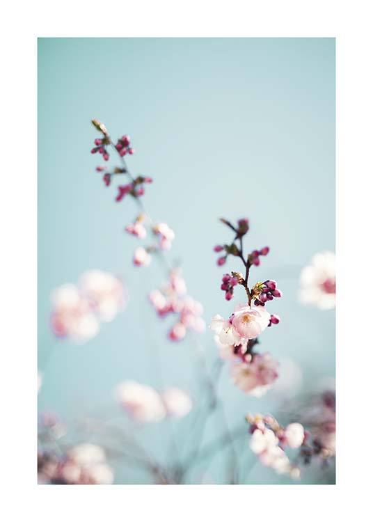 Cherry Blossom No2 Poster / Fotografías con Desenio AB (10427)