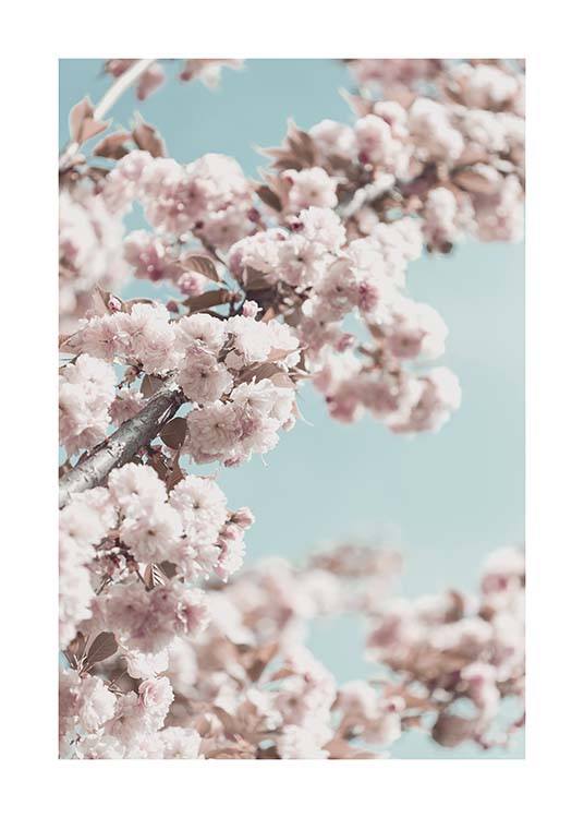 Cherry Blossom No4 Poster / Fotografías con Desenio AB (10429)