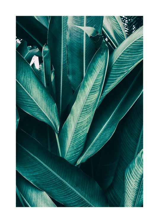 Tropical Leaves No1 Poster / Fotografías con Desenio AB (10439)