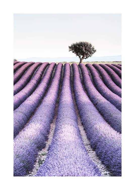 Provence Poster / Naturaleza con Desenio AB (10462)