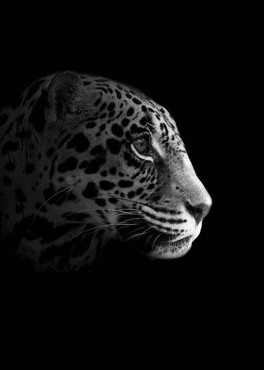 Leopard From Side Poster / Blanco y negro con Desenio AB (10494)