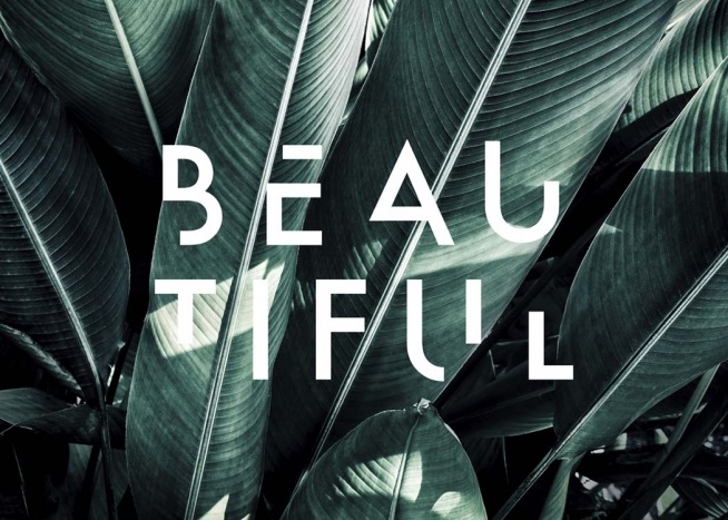 – Fotografía de botánica con hojas de palmera y la palabra «beautiful» en inglés