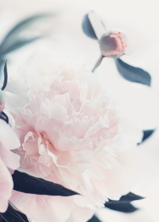 – Póster con flores de color claro 
