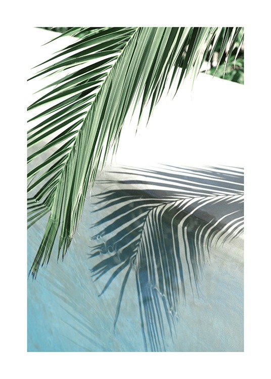Poolside Palm Reflection Poster / Fotografías con Desenio AB (10666)