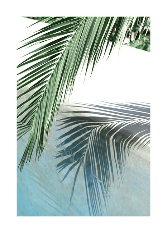 Poolside Palm Reflection Poster