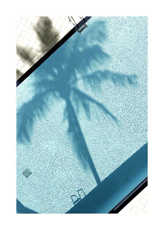 Pool and Palm Tree Poster / Fotografías con Desenio AB (10668)