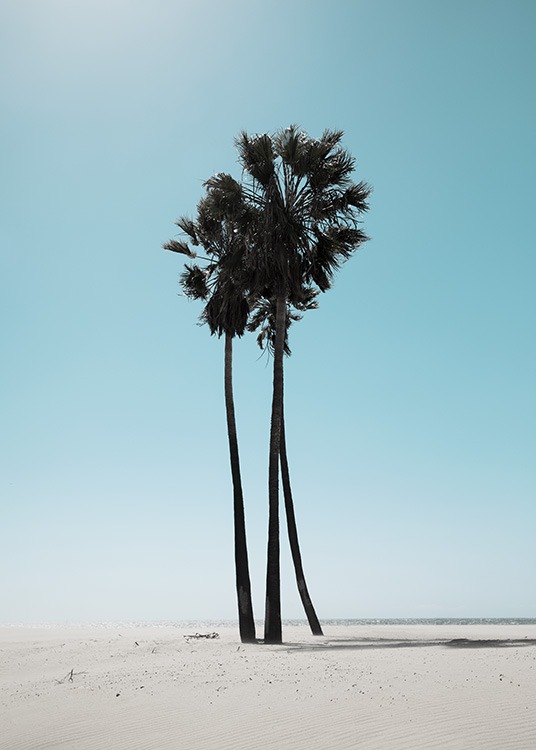 LA Beach Palms Poster / Tropical con Desenio AB (10784)