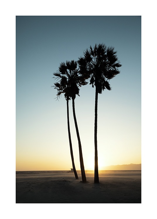 Los Angeles Sunset Poster / Tropical con Desenio AB (10786)