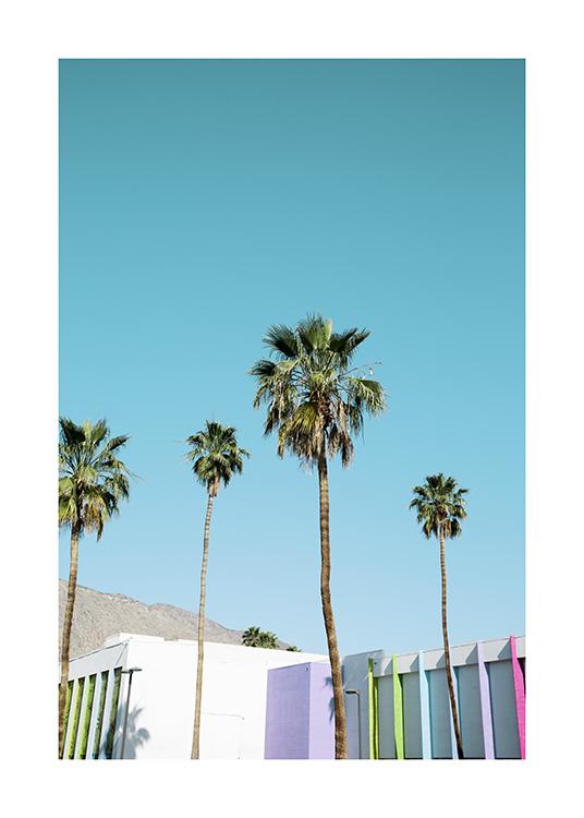 Rainbow Palms Poster / Tropical con Desenio AB (10789)