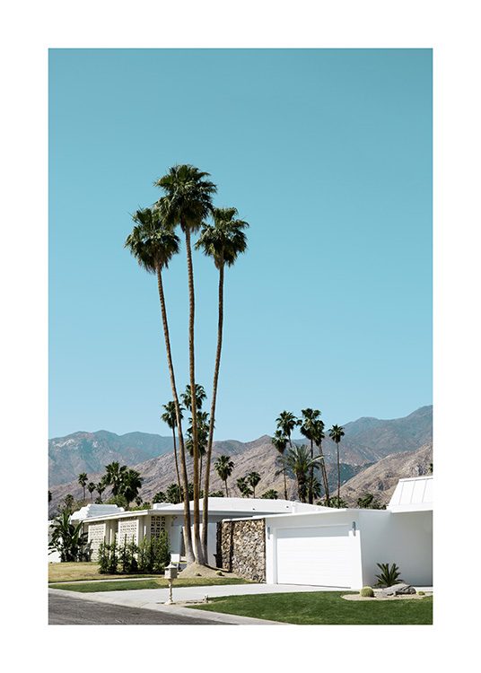Street of Palm Springs Poster / 70x100 cm con Desenio AB (10790)