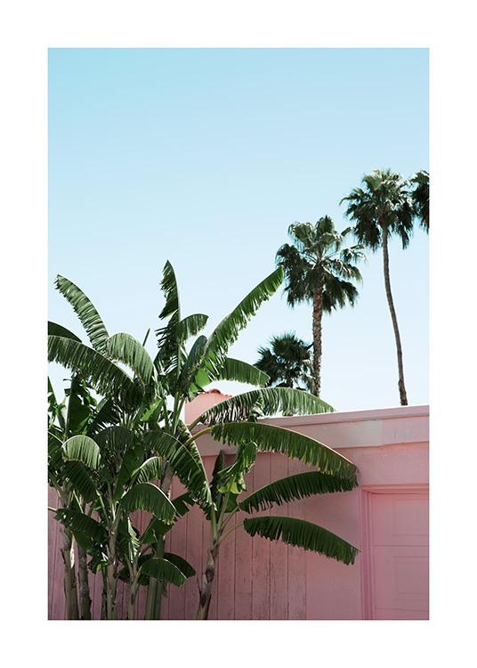 Pink Banana Leaves Poster / Plantas Verdes con Desenio AB (10791)
