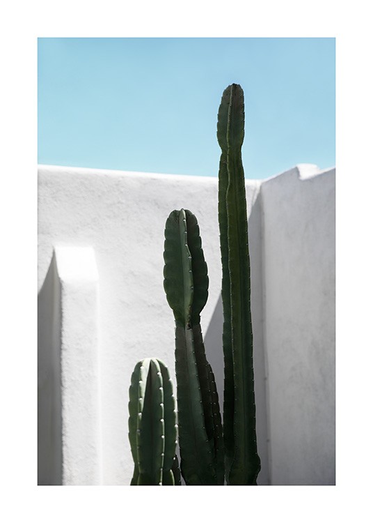 Cactus Wall Poster / Cactus con Desenio AB (10792)