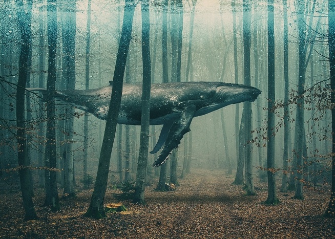  – Póster de arte gráfico con una ballena entre los árboles de un bosque bajo la niebla